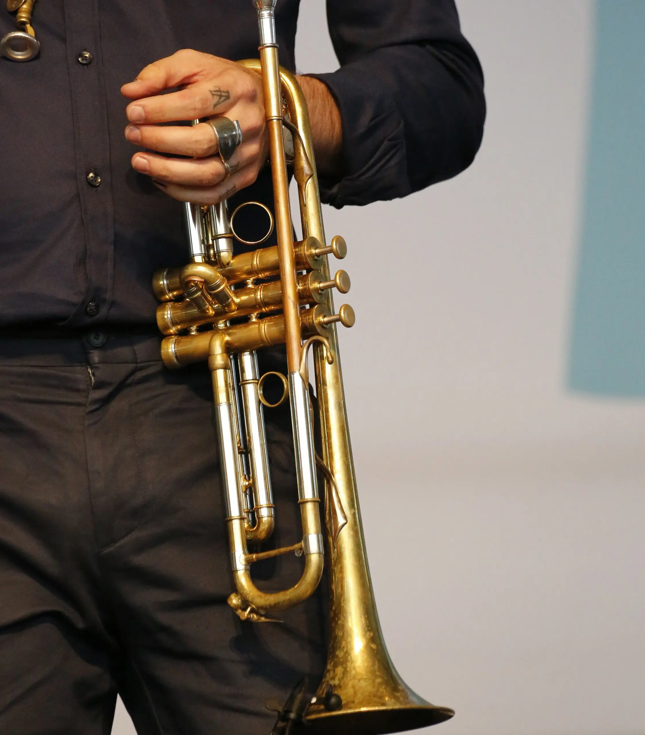 Avishai Cohen4051(A4) redimensionner