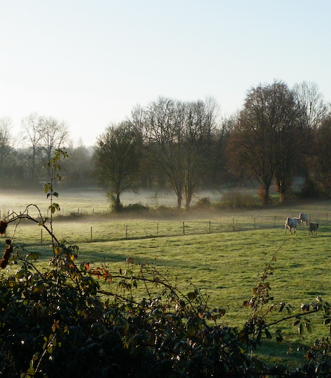Bocage en hiver (c) Abbaye de Noirlac