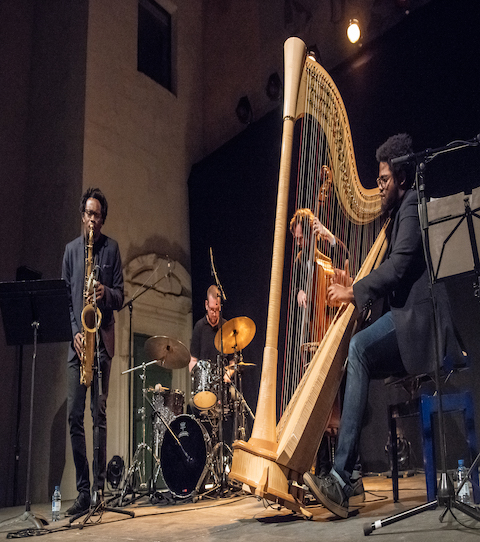 Compa Harpes au Max 2018 - ©Nathalie Gautier