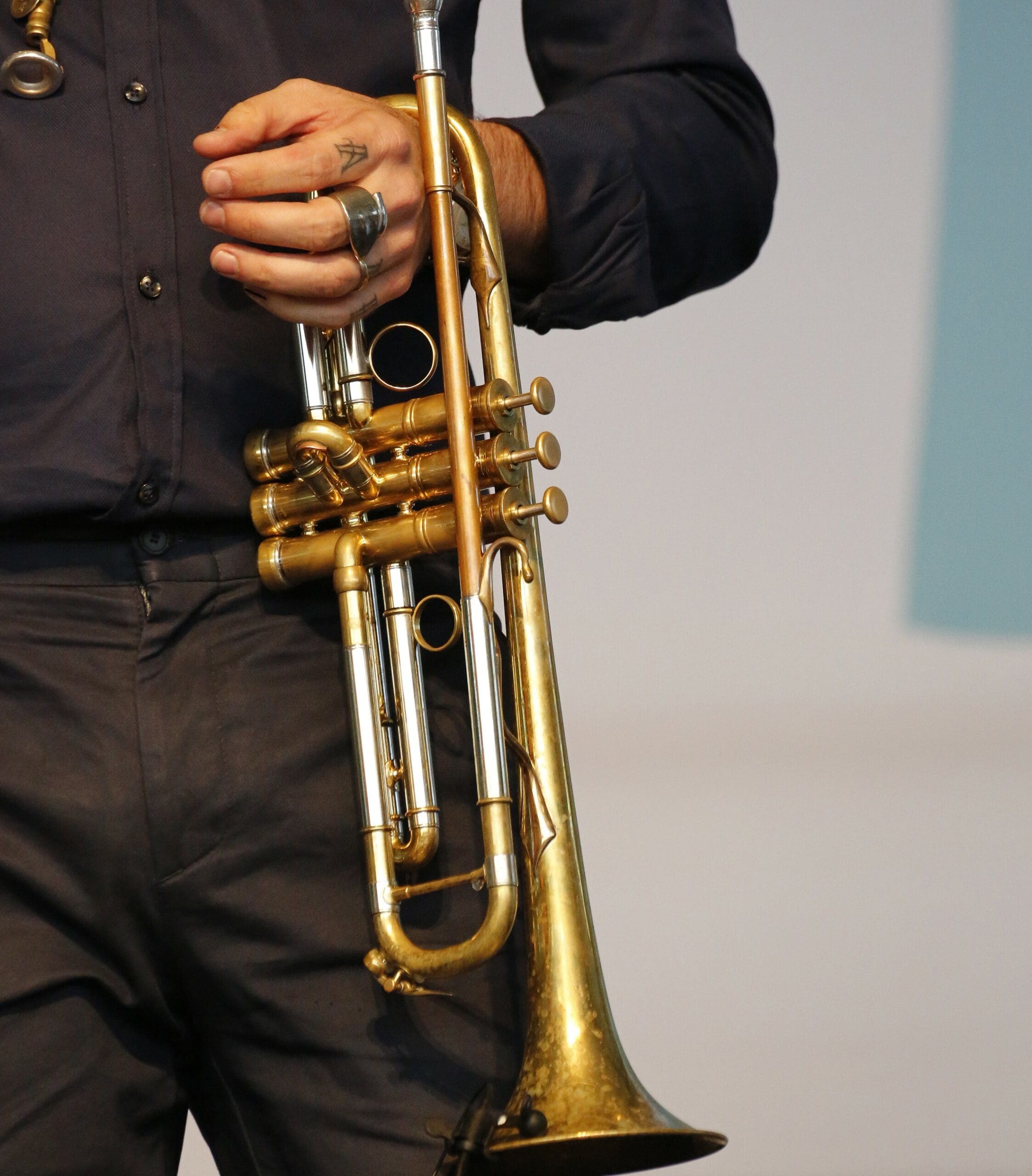 Avishai Cohen4051(A4) redimensionner