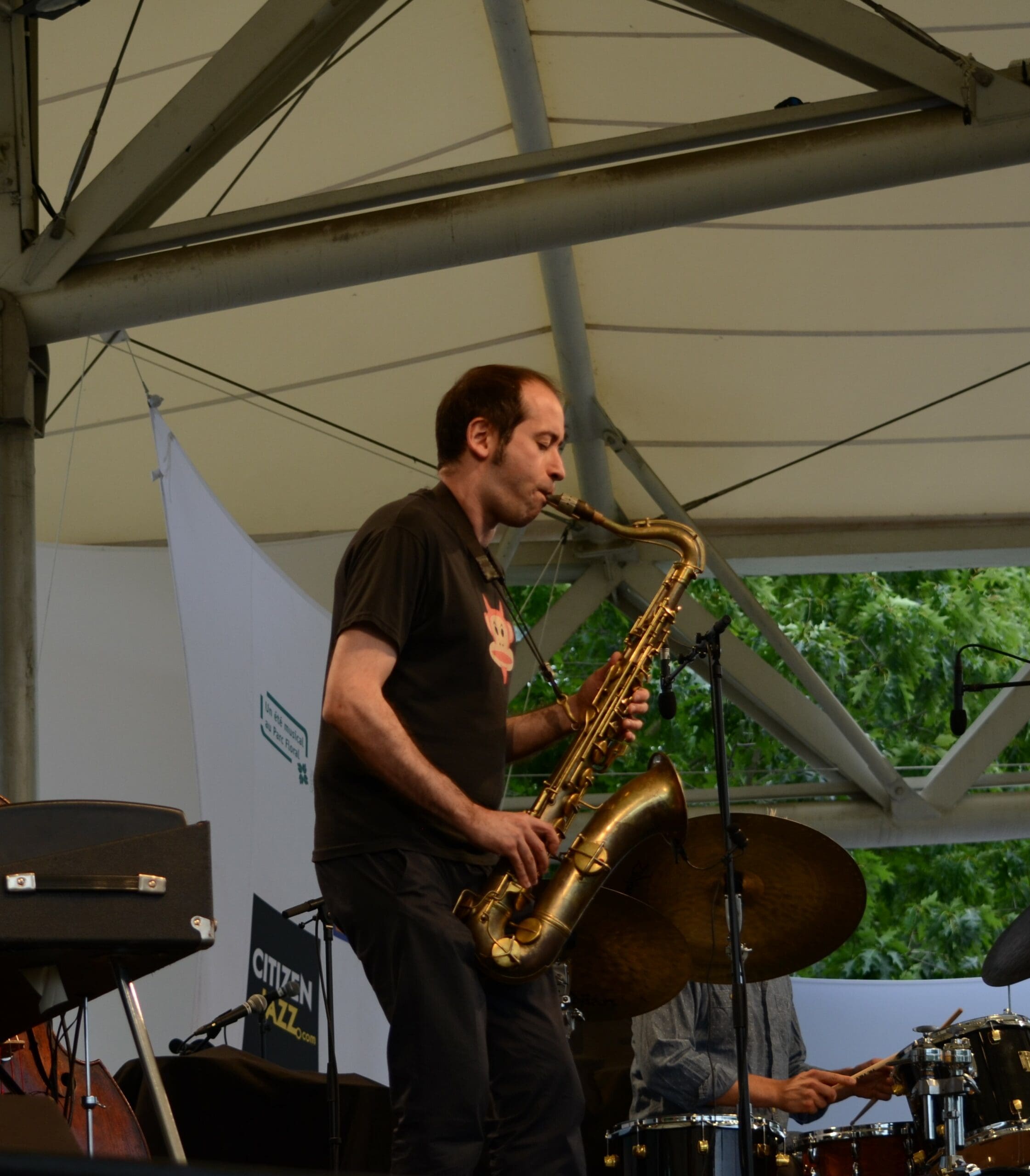 DSC_6245 redimensionner